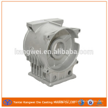 Aluminum Injection Molding Pump